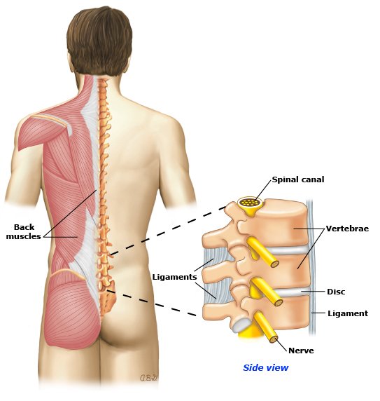 chấn thương cột sống 2